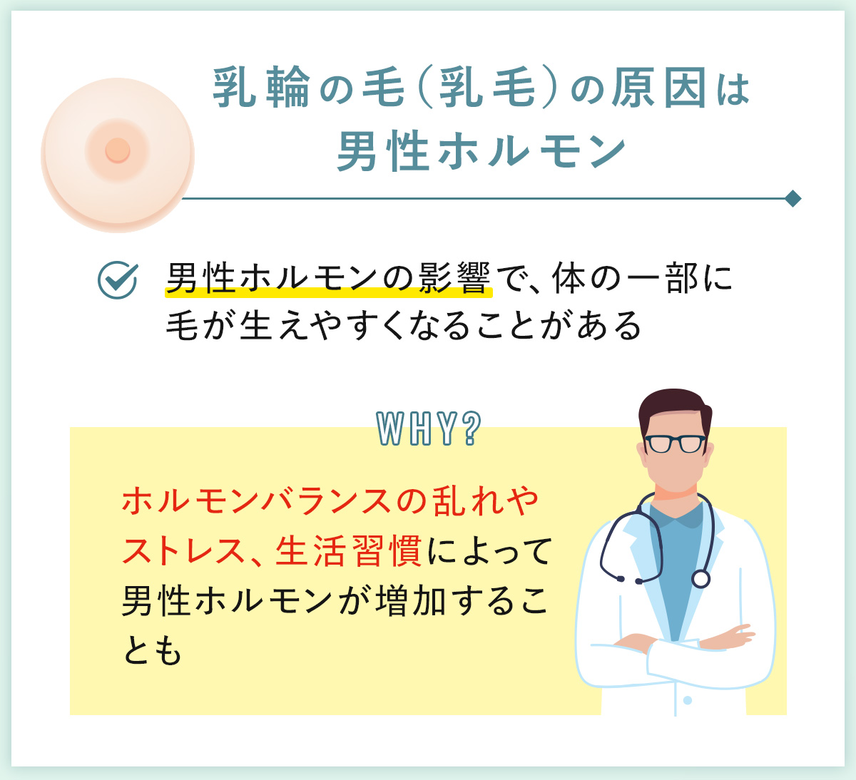 01_乳輪の毛(乳毛)の原因は男性ホルモン