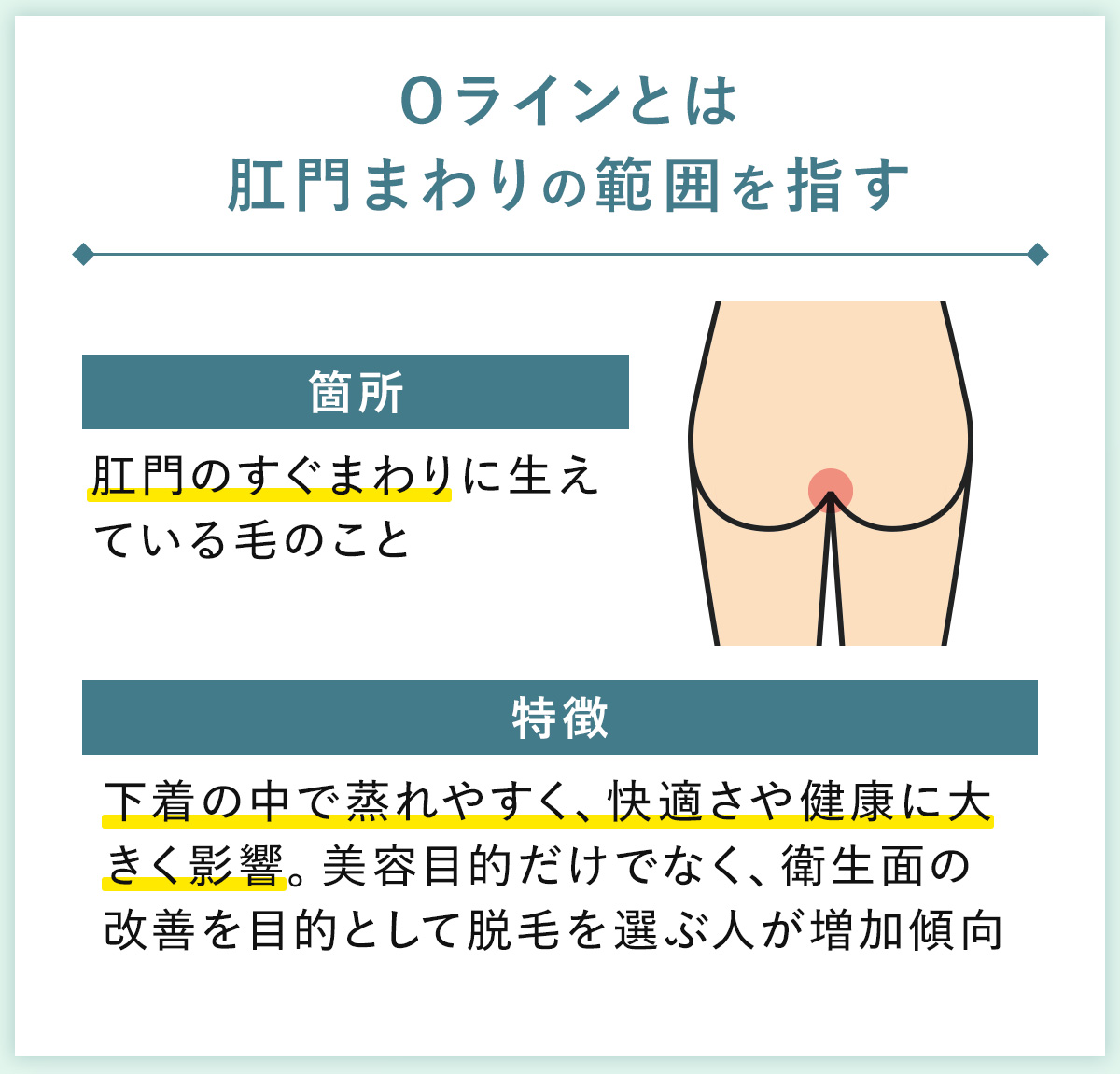 01_Oラインとは肛門まわりの範囲を指す