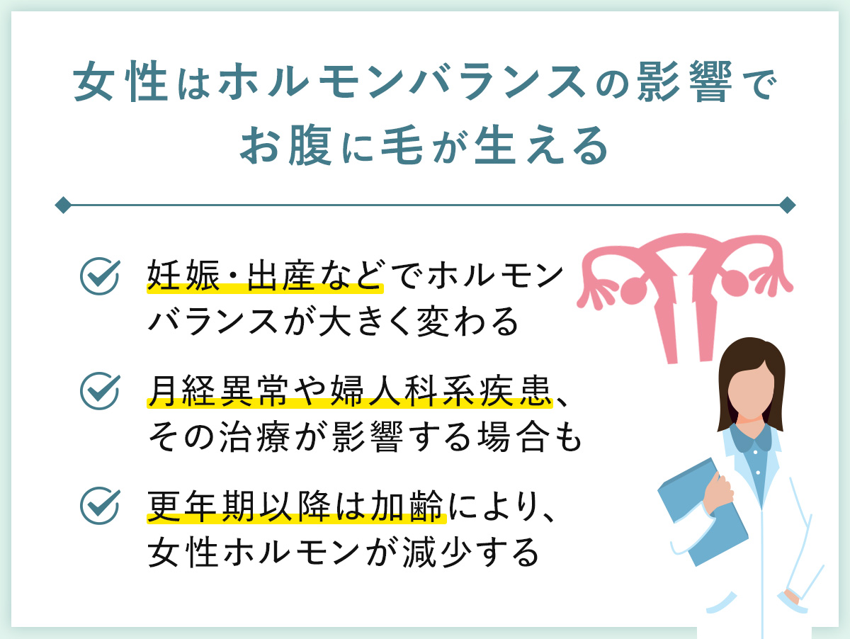 02_女性はホルモンバランスの影響でお腹に毛が生える