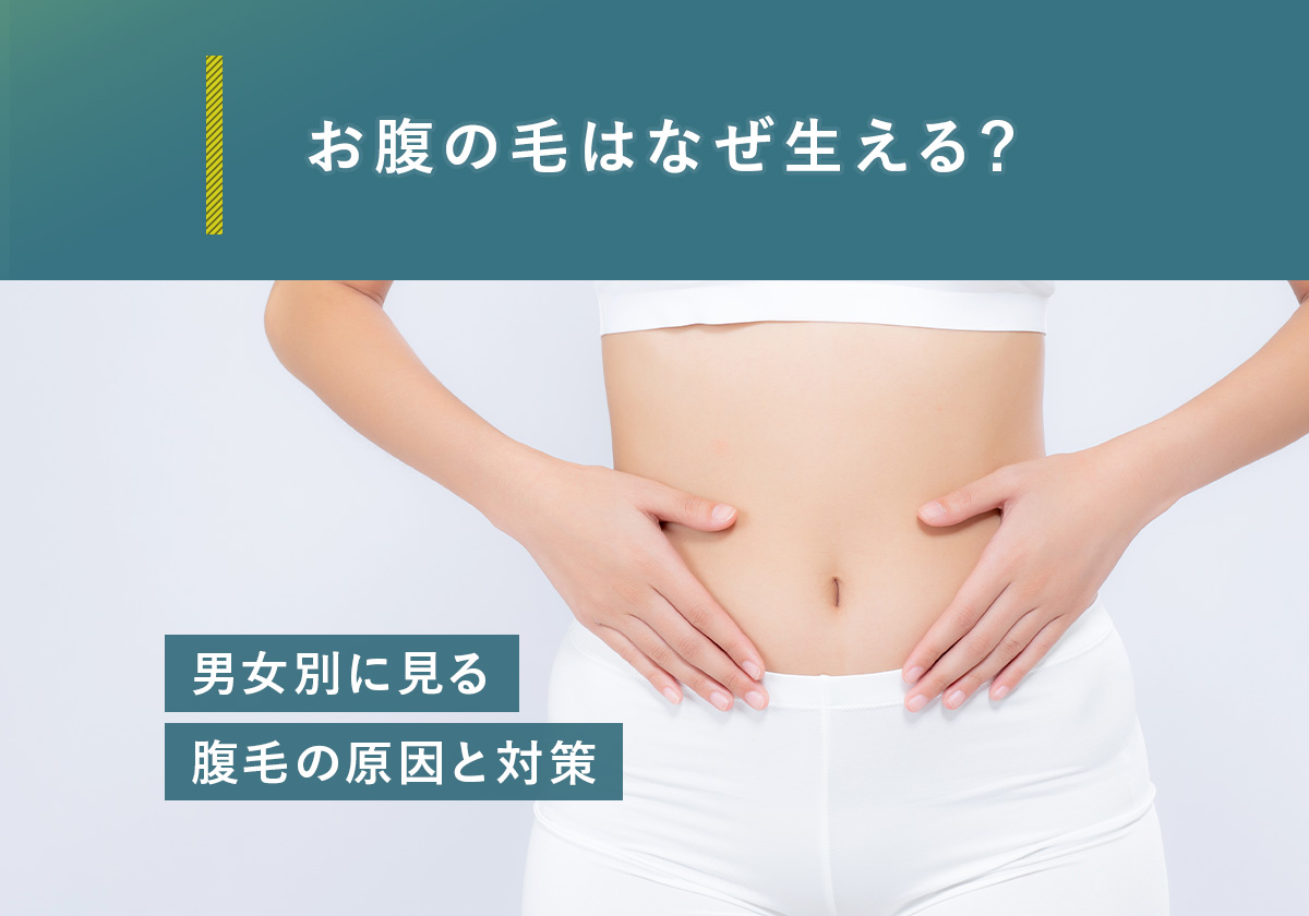 お腹の毛はなぜ生える？男女別に見る腹毛の原因と対策