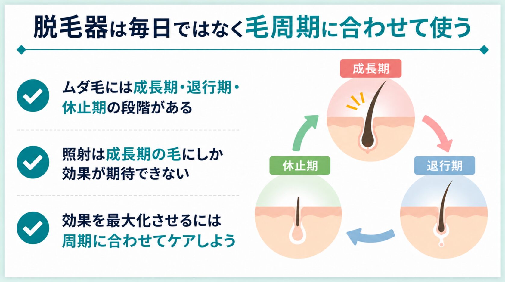 脱毛器は毎日ではなく毛周期に合わせて使う