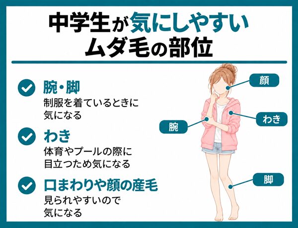 中学生が気にしやすいムダ毛の部位