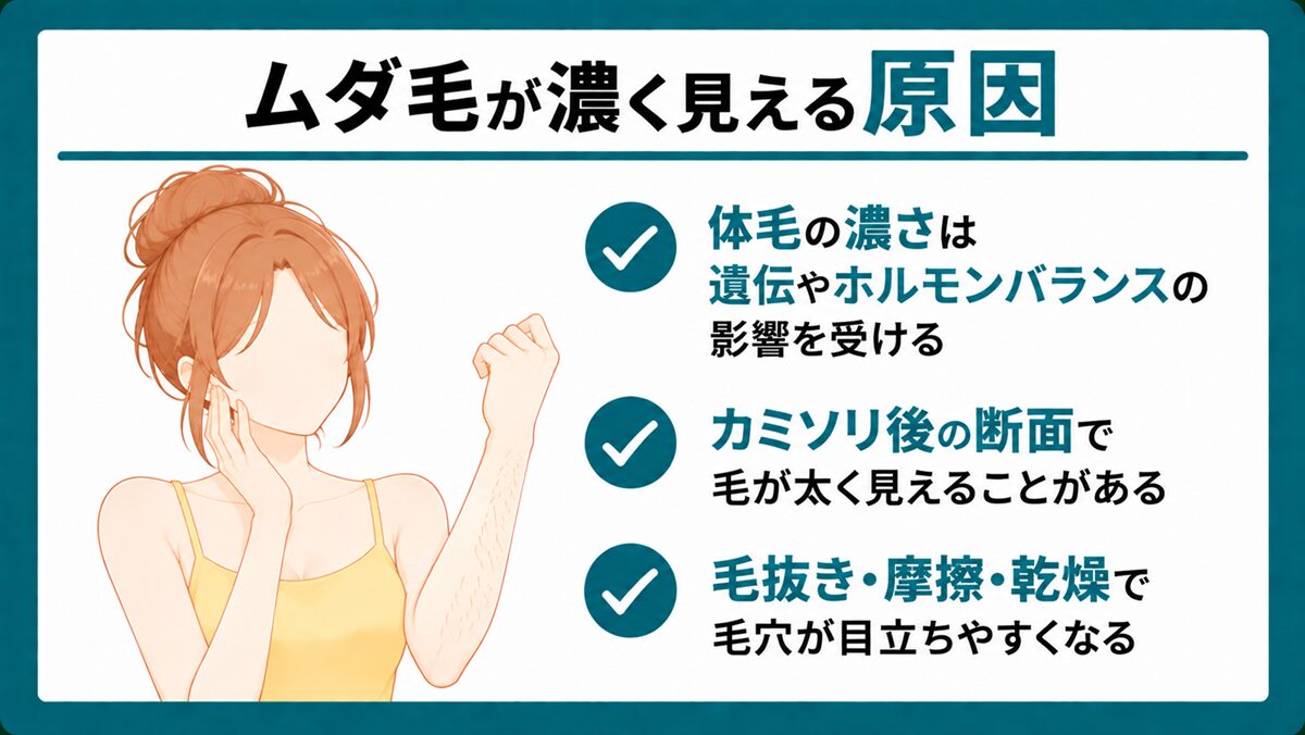 ムダ毛が濃く見える原因