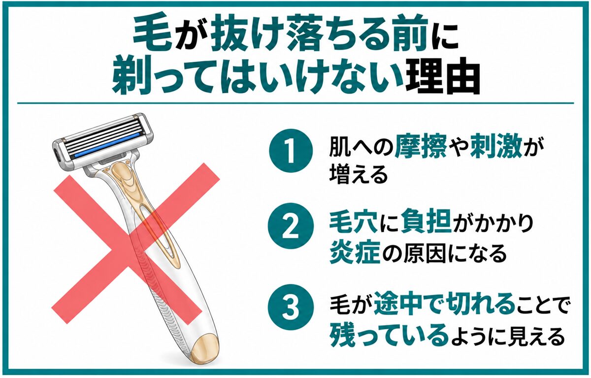 毛が抜け落ちる前に剃ってはいけない理由